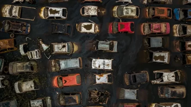 Baixa Definitiva de Veículos em MG